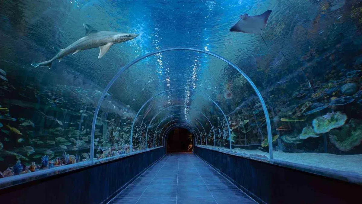 Körfez Aqua Kıtalar Akvaryumu, 5 Kıtadan Canlıları Ağırlıyor