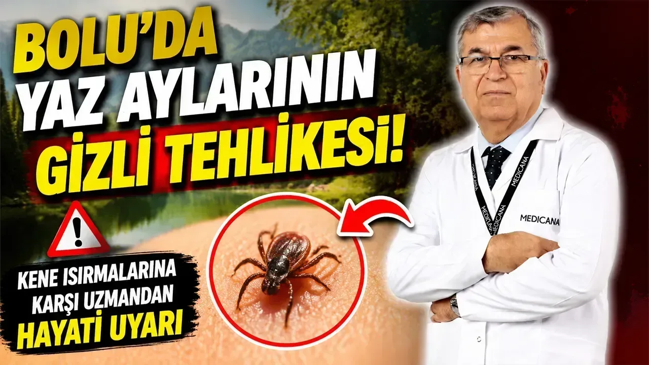 Bolu'da Yaz Aylarında Kene Tehlikesine Dikkat!