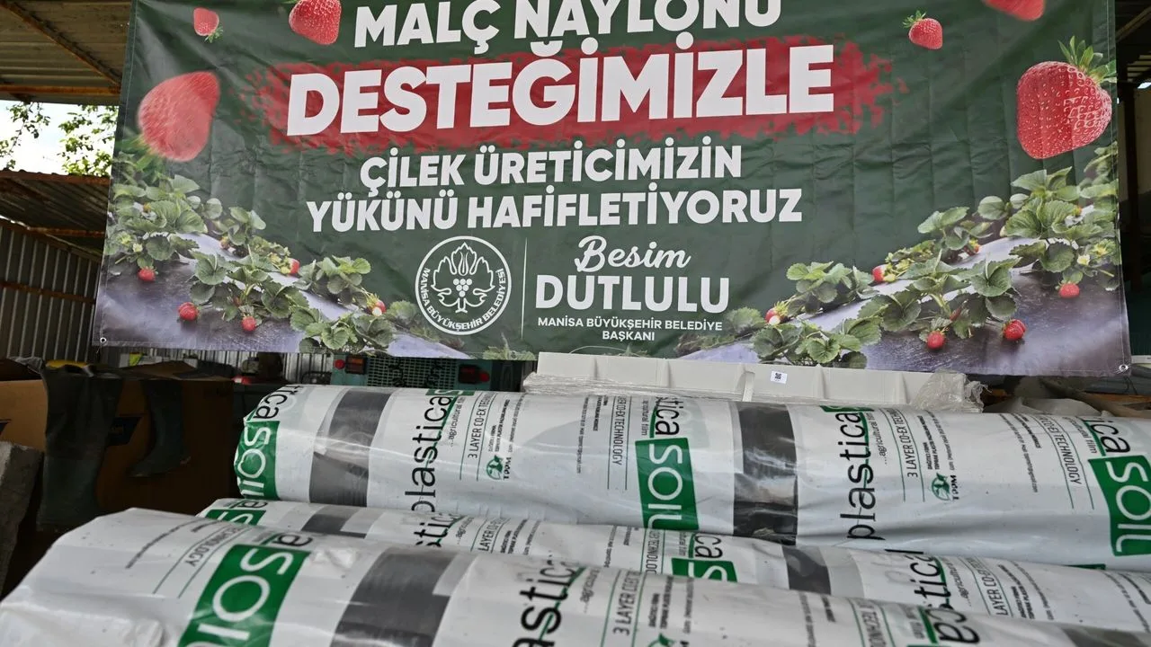 Manisa'da Çilek Üreticilerine Malç Naylonu Desteği Sağlandı