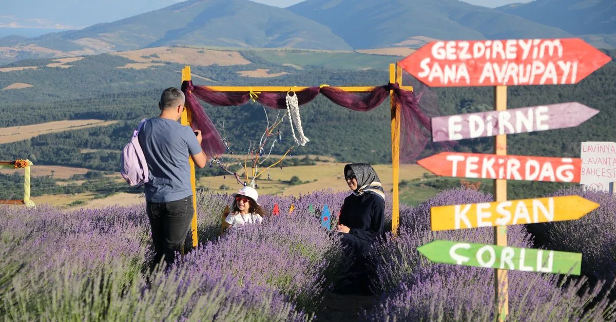 Tekirdağ'ın Lavanta Bahçeleri, Ziyaretçilerini Ağırlıyor