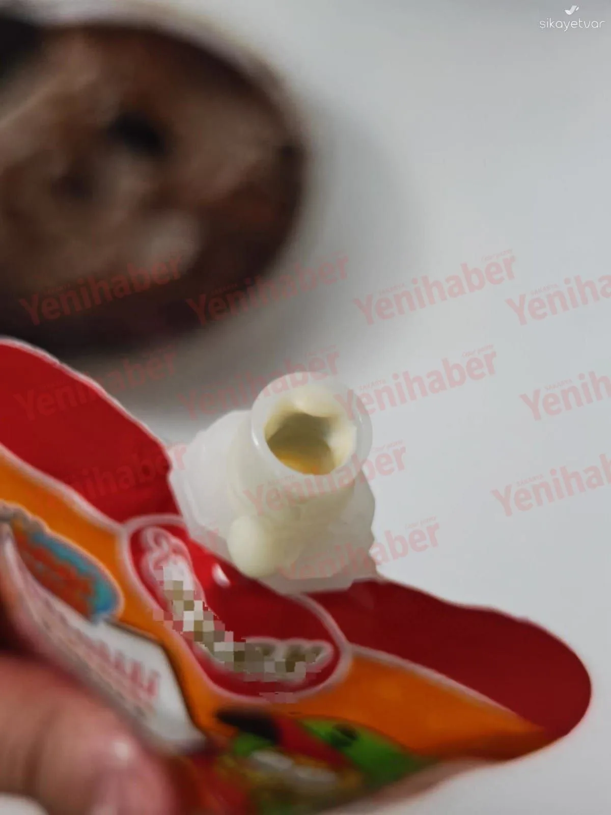 Sakarya'da Meyveli Yoğurt Küflü Çıktı, Tüketici Tepkili