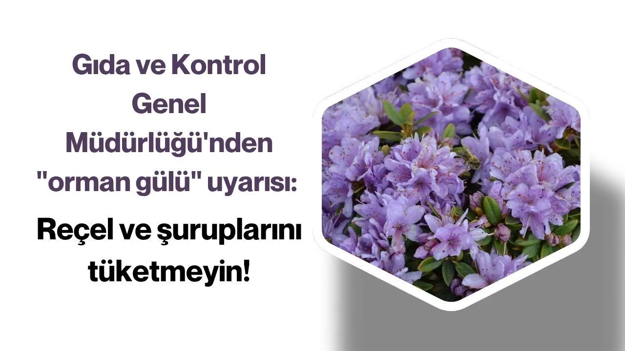 Antalya'dan Gıda Güvenliği Uyarısı: Orman Gülü Tüketmeyin!