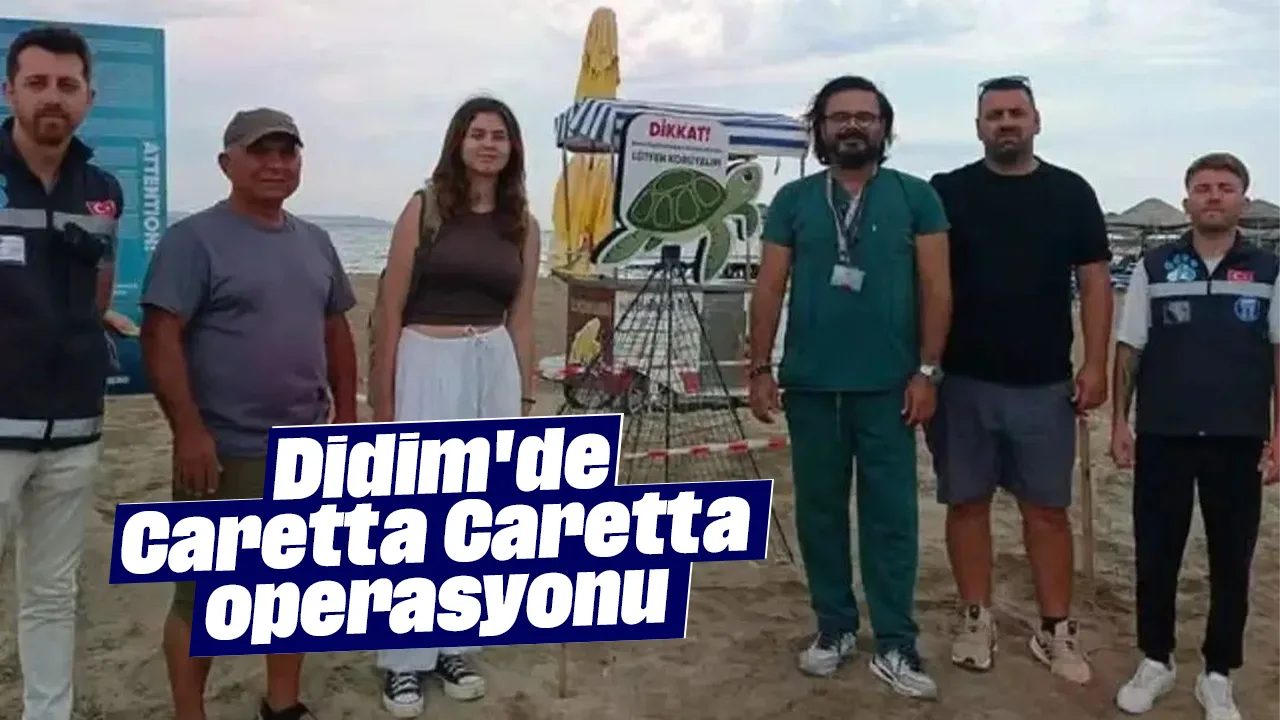 Didim'de Caretta Caretta Kurtarma Operasyonu Gerçekleşti
