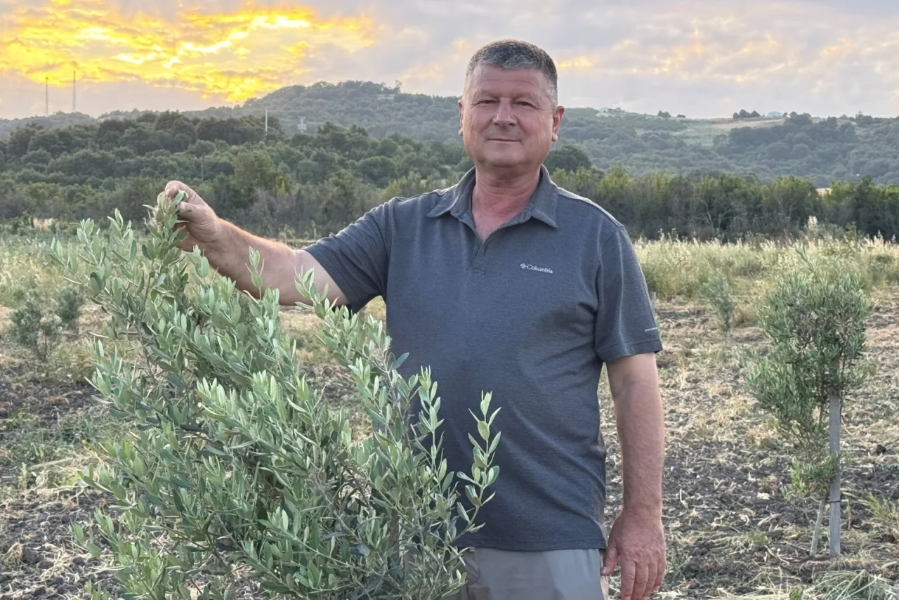 Muratlar Köyü'nde Zeytin Ağaçlarıyla Yeni Bir Başlangıç!