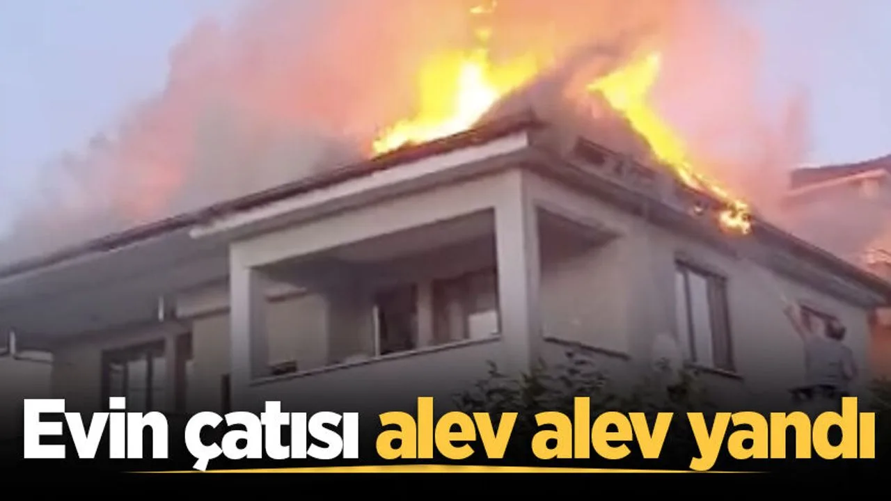 Geyve'de Ev Yangını Paniğe Neden Oldu