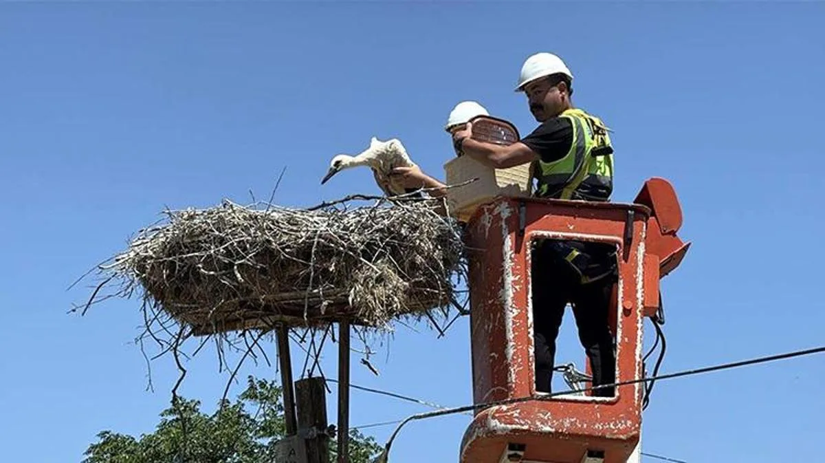 Karakavak Mahallesi'nde Leylek Festivali Coşkusu