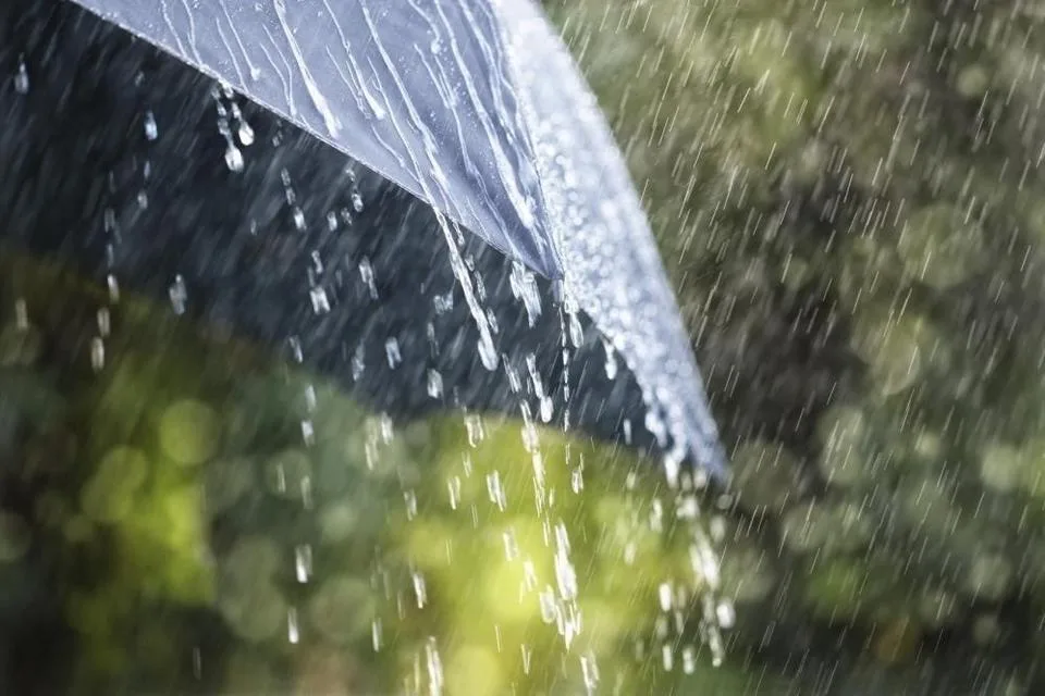 Aydın'da Kuvvetli Yağışa Dikkat! Meteorolojiden Uyarı Geldi