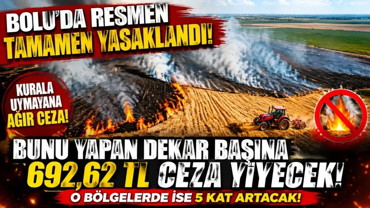 Bolu'da Anız Yakma Yasaklandı: Cezalar Artıyor!