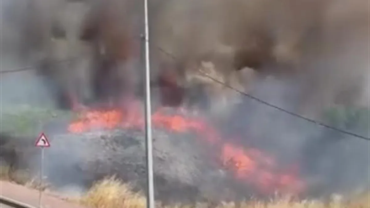 Darıca'da Boş Arazide Yangın: Yaralanma Yok, İtfaiye Müdahale Etti