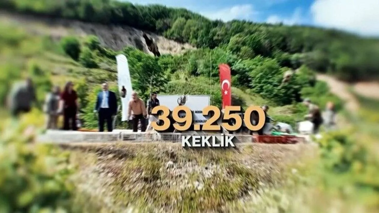 Antalya'da Kene ve Kokarcalara Doğal Mücadele: 51 Bin Keklik Salınacak