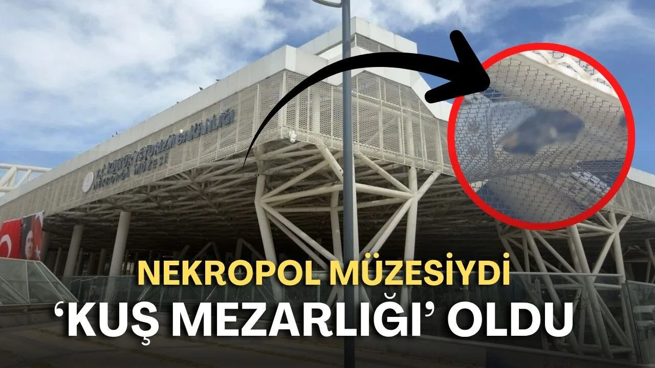 Nekropol Müzesi, Kuş Mezarlığına Dönüştü: Tepkiler Çığ Gibi Büyüyor!