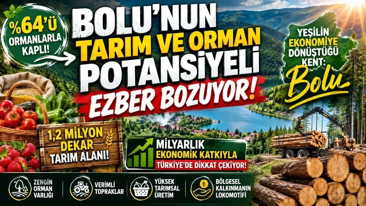 Bolu'nun Tarımsal Gücü: Ormanlar ve Ekonomi Bir Arada