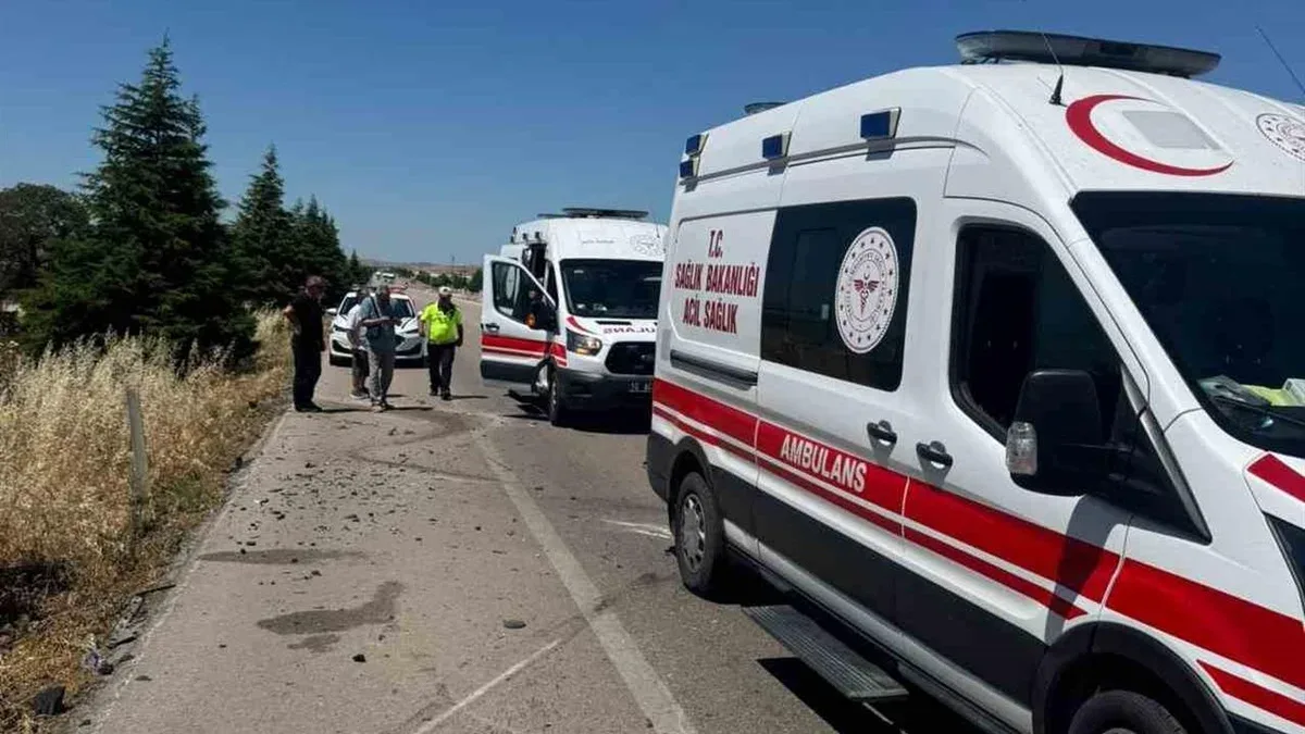 Balıkesir Bandırma'da Arı Panikle Trafik Kazası: 1 Ölü