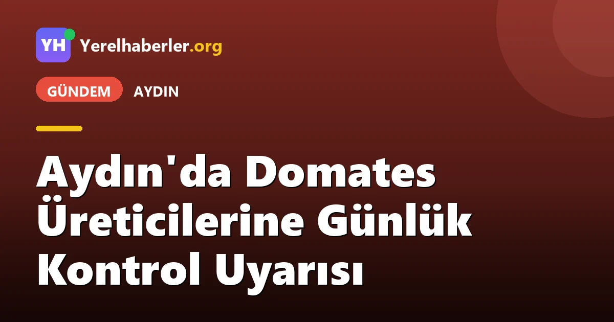 Aydın'da Domates Üreticilerine Günlük Kontrol Uyarısı