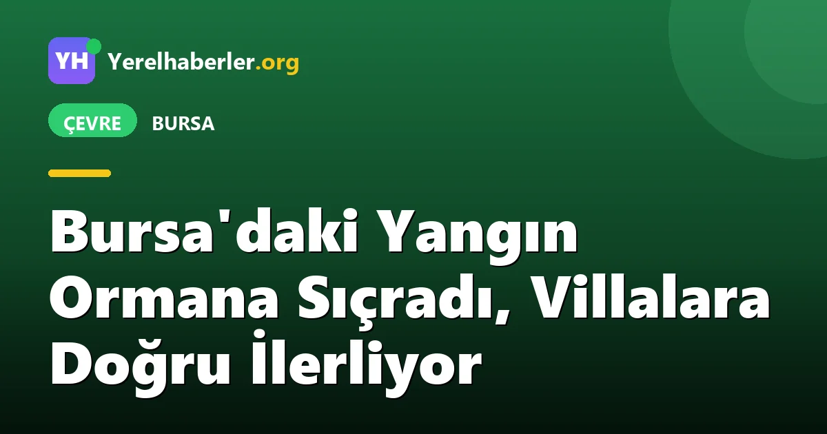 Bursa'daki Yangın Ormana Sıçradı, Villalara Doğru İlerliyor