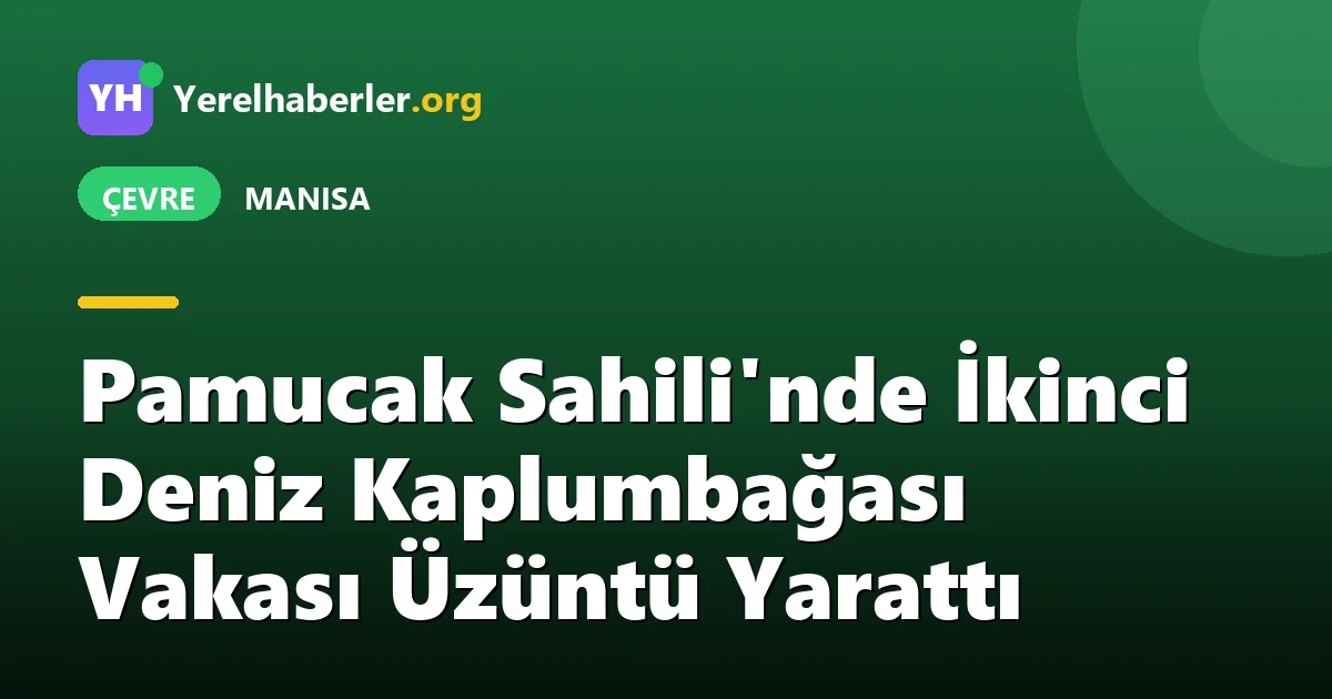 Pamucak Sahili'nde İkinci Deniz Kaplumbağası Vakası Üzüntü Yarattı