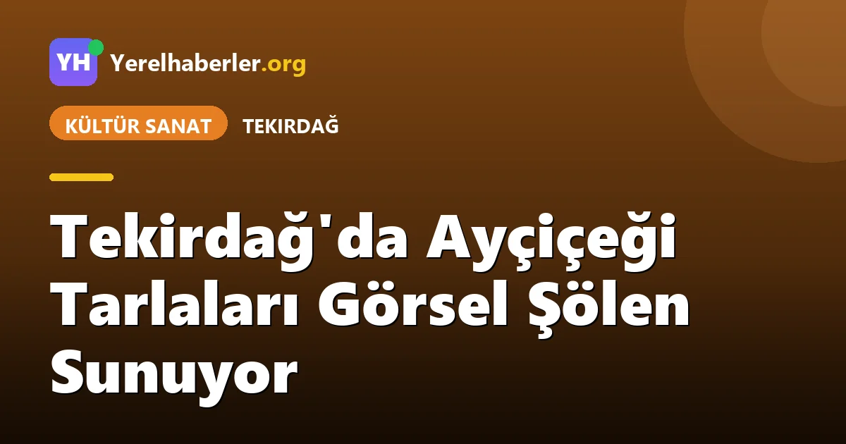 Tekirdağ'da Ayçiçeği Tarlaları Görsel Şölen Sunuyor