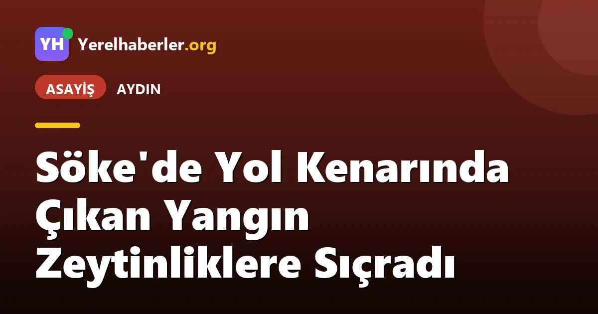 Söke'de Yol Kenarında Çıkan Yangın Zeytinliklere Sıçradı