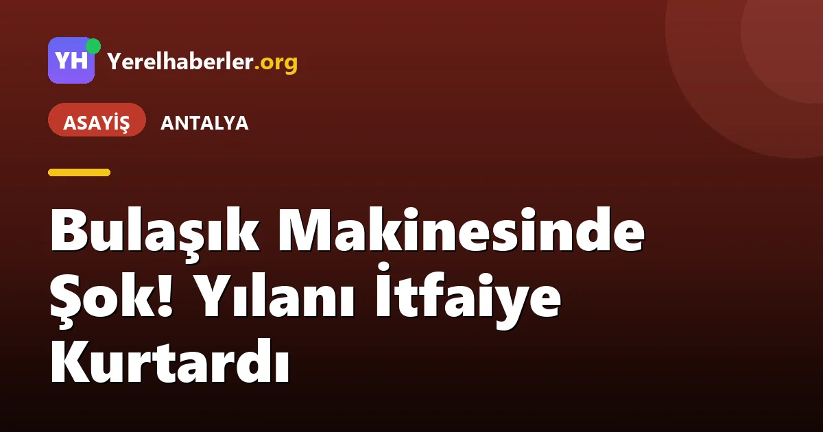 Bulaşık Makinesinde Şok! Yılanı İtfaiye Kurtardı