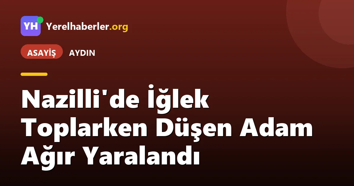 Nazilli'de İğlek Toplarken Düşen Adam Ağır Yaralandı