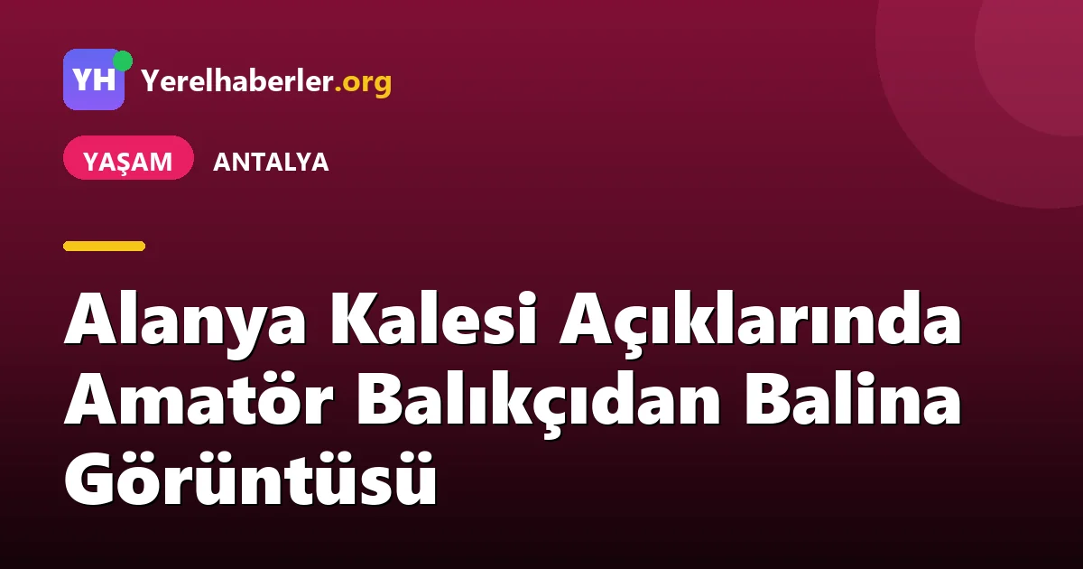 Alanya Kalesi Açıklarında Amatör Balıkçıdan Balina Görüntüsü