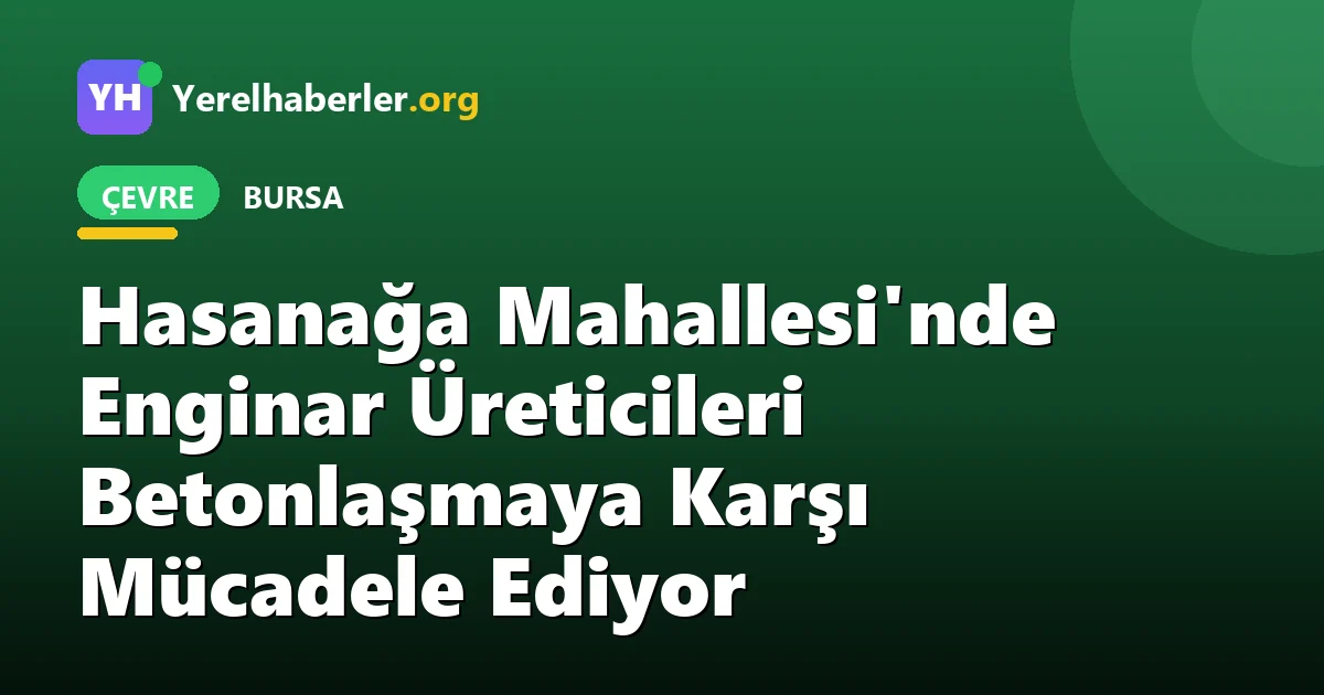 Hasanağa Mahallesi'nde Enginar Üreticileri Betonlaşmaya Karşı Mücadele Ediyor