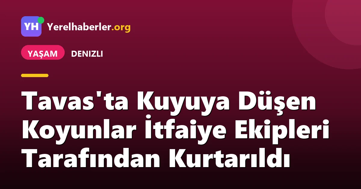 Tavas'ta Kuyuya Düşen Koyunlar İtfaiye Ekipleri Tarafından Kurtarıldı