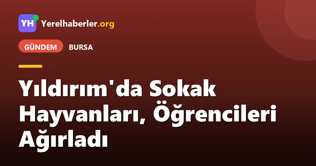 Yıldırım'da Sokak Hayvanları, Öğrencileri Ağırladı