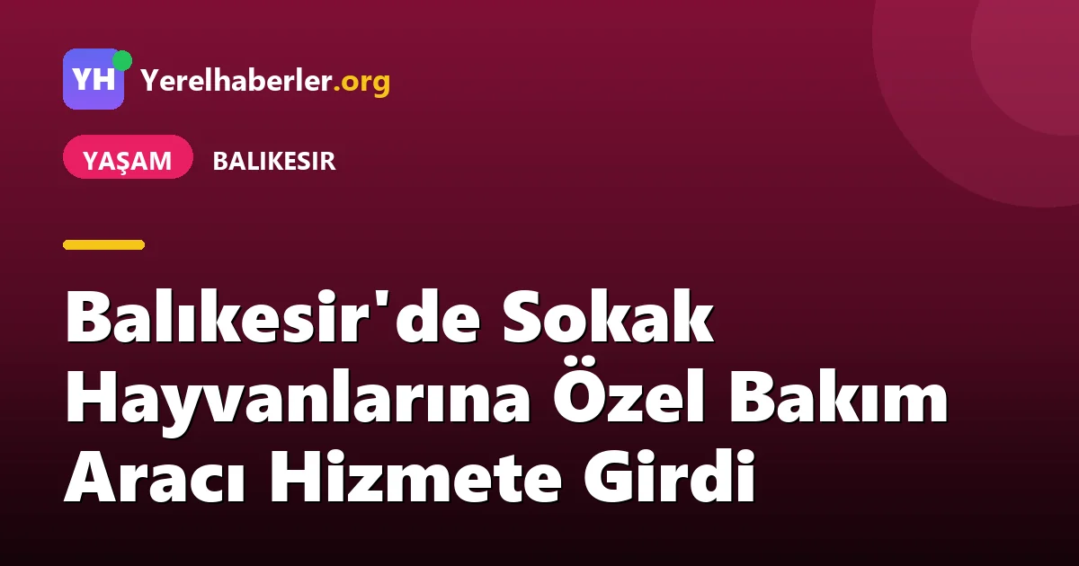 Balıkesir'de Sokak Hayvanlarına Özel Bakım Aracı Hizmete Girdi