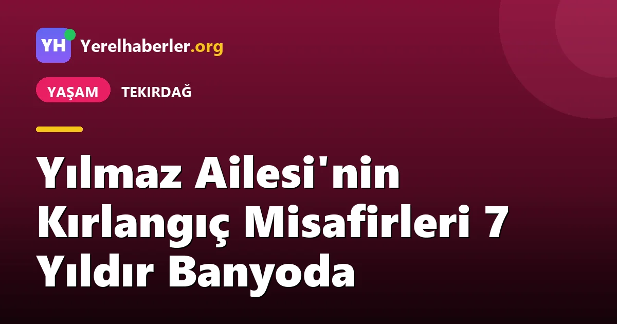 Yılmaz Ailesi'nin Kırlangıç Misafirleri 7 Yıldır Banyoda