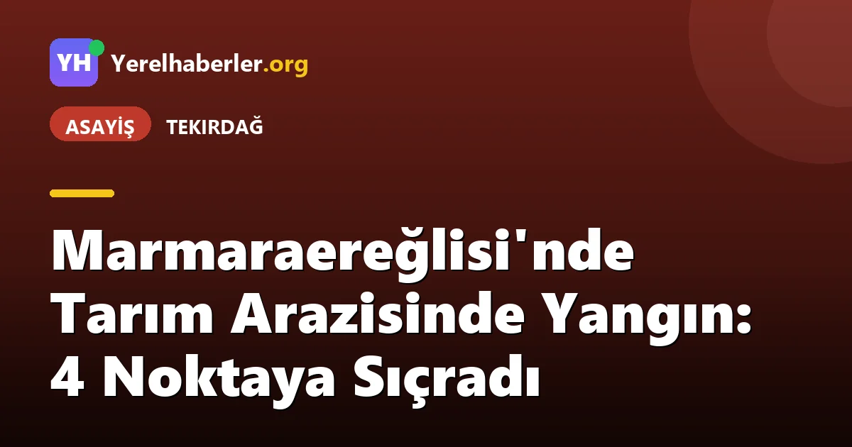 Marmaraereğlisi'nde Tarım Arazisinde Yangın: 4 Noktaya Sıçradı