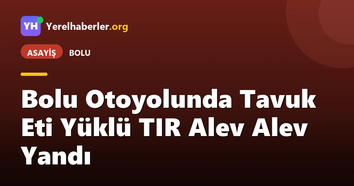 Bolu Otoyolunda Tavuk Eti Yüklü TIR Alev Alev Yandı