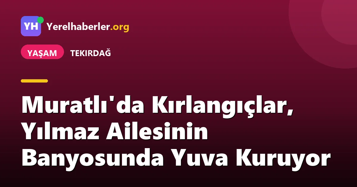 Muratlı'da Kırlangıçlar, Yılmaz Ailesinin Banyosunda Yuva Kuruyor