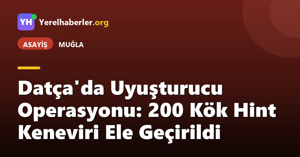 Datça'da Uyuşturucu Operasyonu: 200 Kök Hint Keneviri Ele Geçirildi