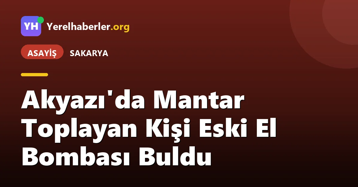 Akyazı'da Mantar Toplayan Kişi Eski El Bombası Buldu