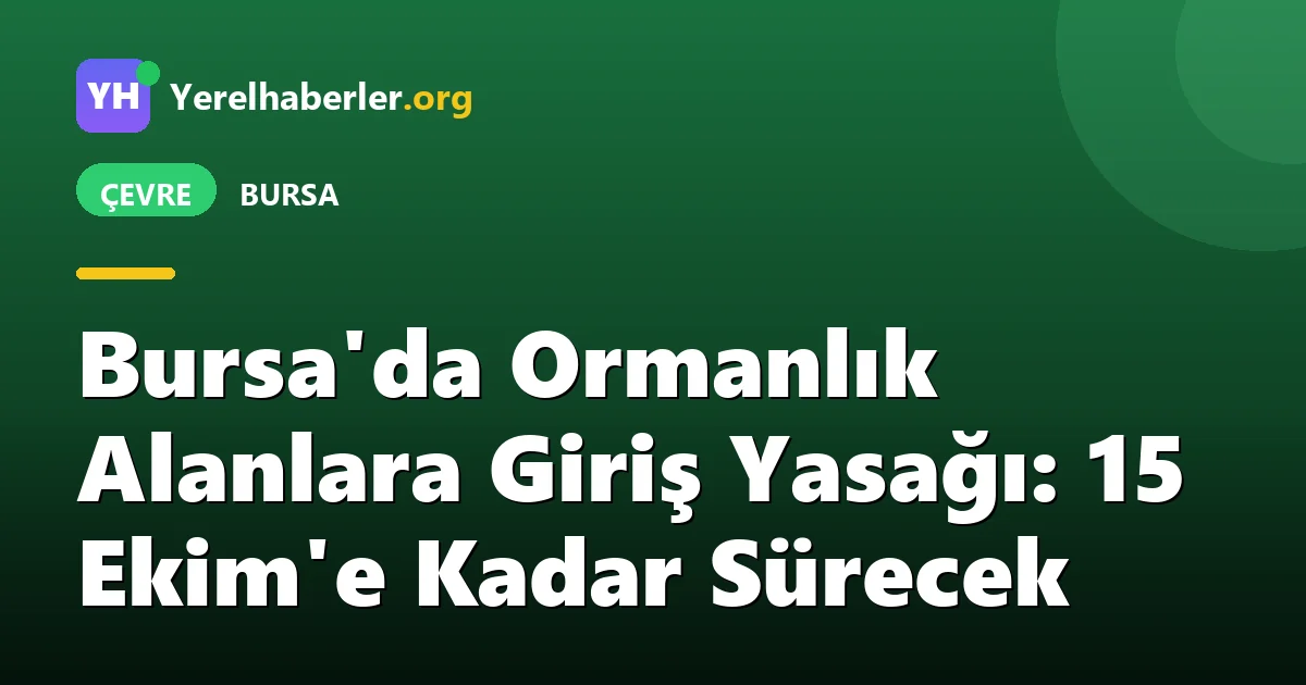 Bursa'da Ormanlık Alanlara Giriş Yasağı: 15 Ekim'e Kadar Sürecek