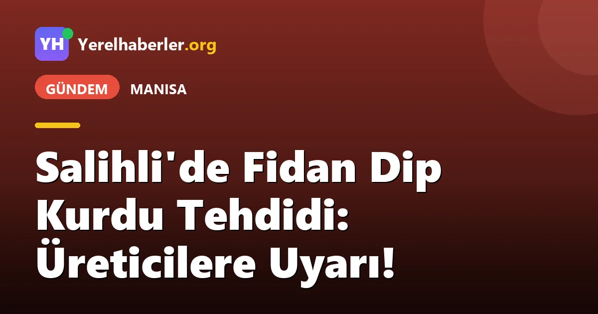 Salihli'de Fidan Dip Kurdu Tehdidi: Üreticilere Uyarı!