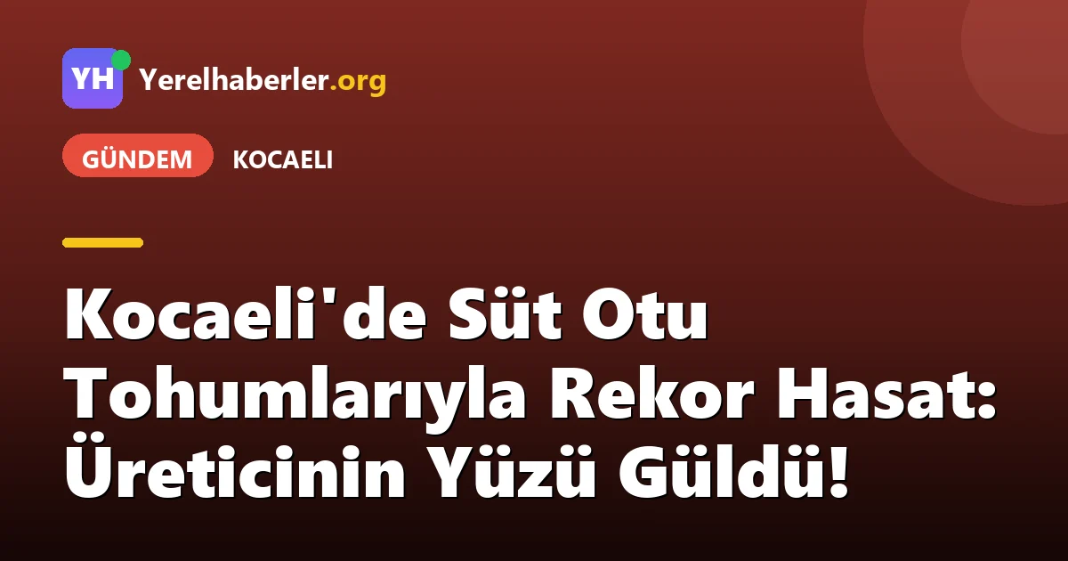 Kocaeli'de Süt Otu Tohumlarıyla Rekor Hasat: Üreticinin Yüzü Güldü!