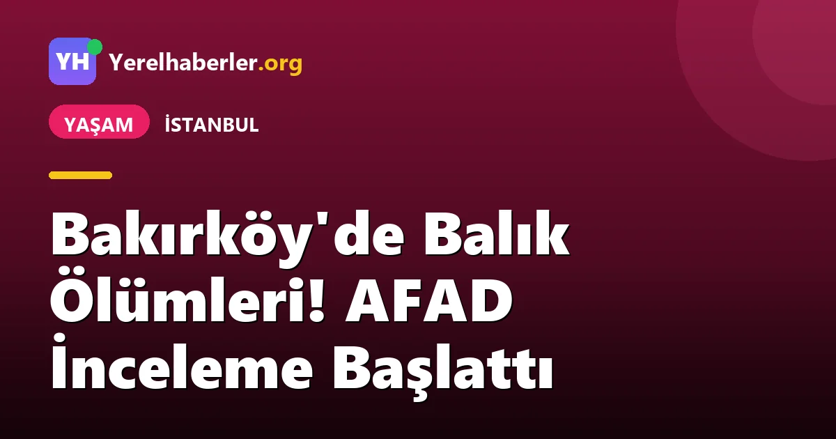 Bakırköy'de Balık Ölümleri! AFAD İnceleme Başlattı