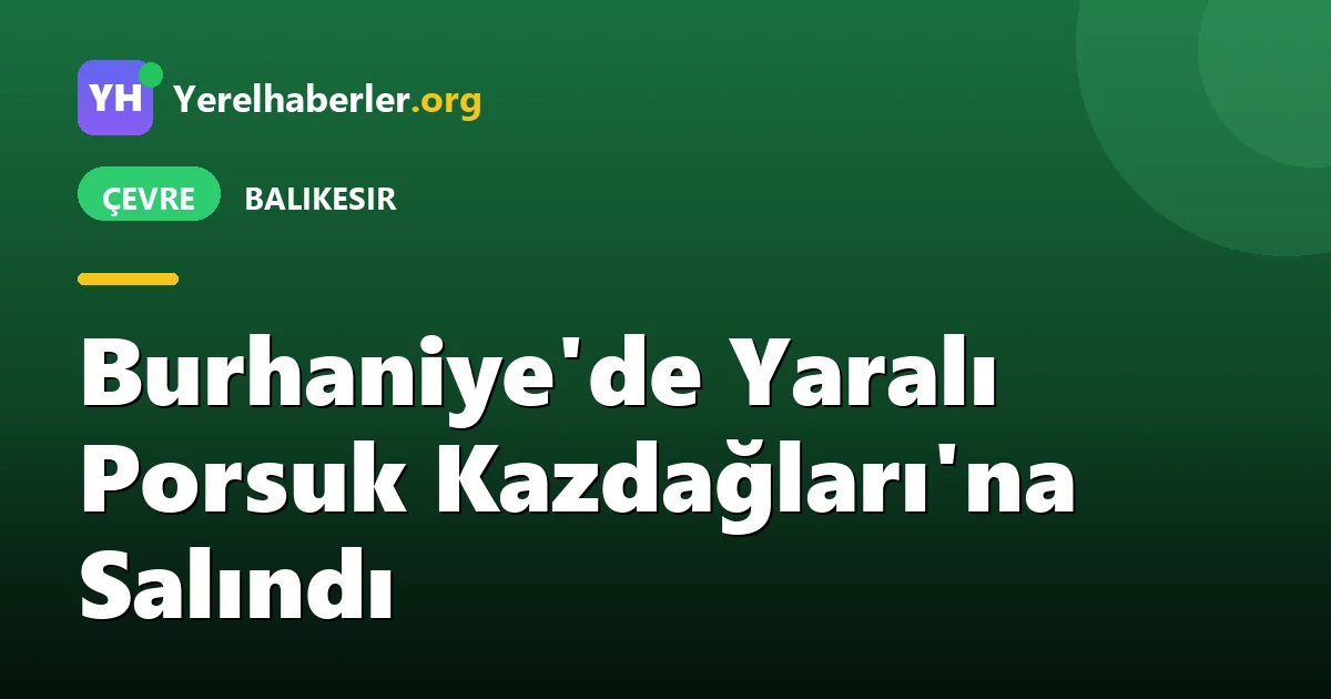 Burhaniye'de Yaralı Porsuk Kazdağları'na Salındı