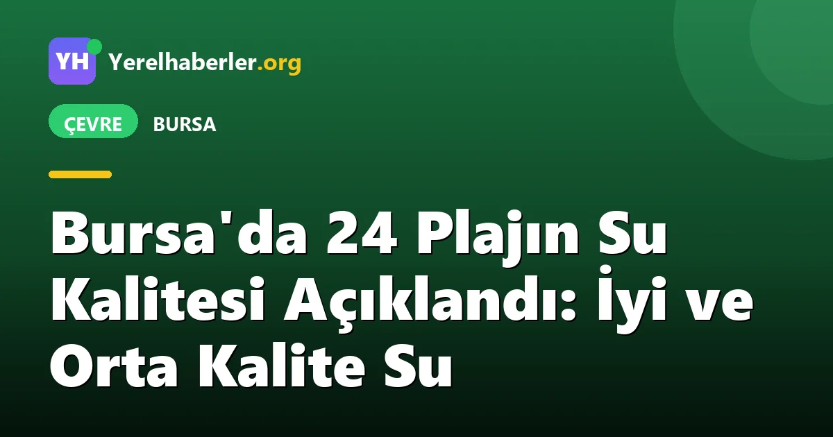 Bursa'da 24 Plajın Su Kalitesi Açıklandı: İyi ve Orta Kalite Su