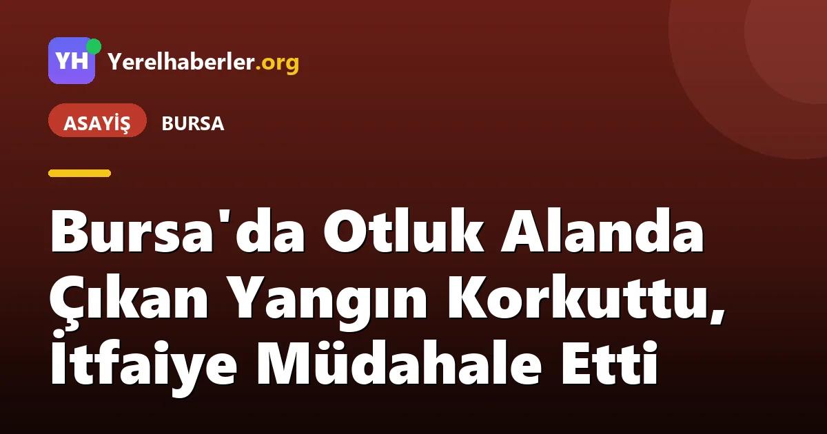 Bursa'da Otluk Alanda Çıkan Yangın Korkuttu, İtfaiye Müdahale Etti