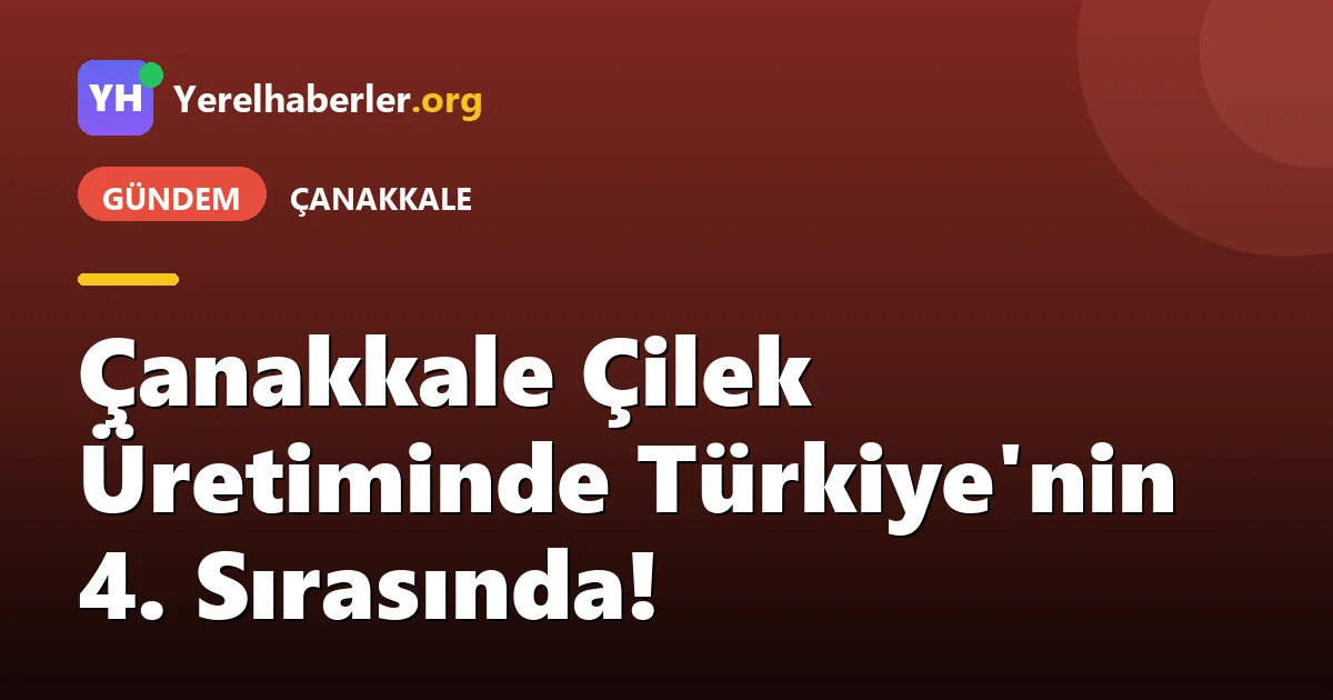 Çanakkale Çilek Üretiminde Türkiye'nin 4. Sırasında!