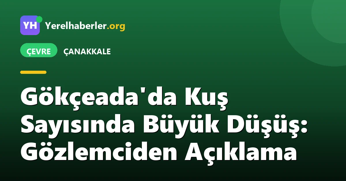 Gökçeada'da Kuş Sayısında Büyük Düşüş: Gözlemciden Açıklama