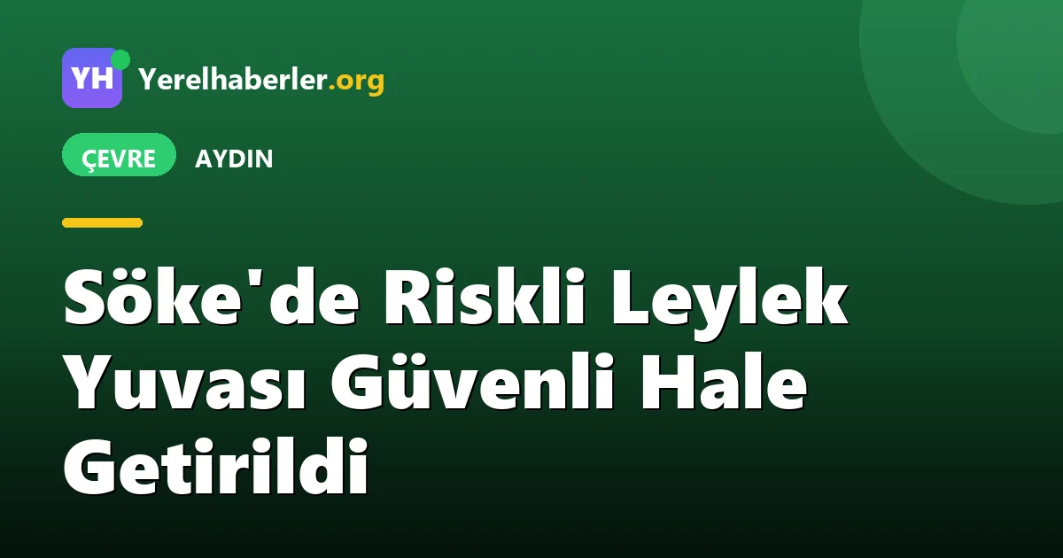 Söke'de Riskli Leylek Yuvası Güvenli Hale Getirildi