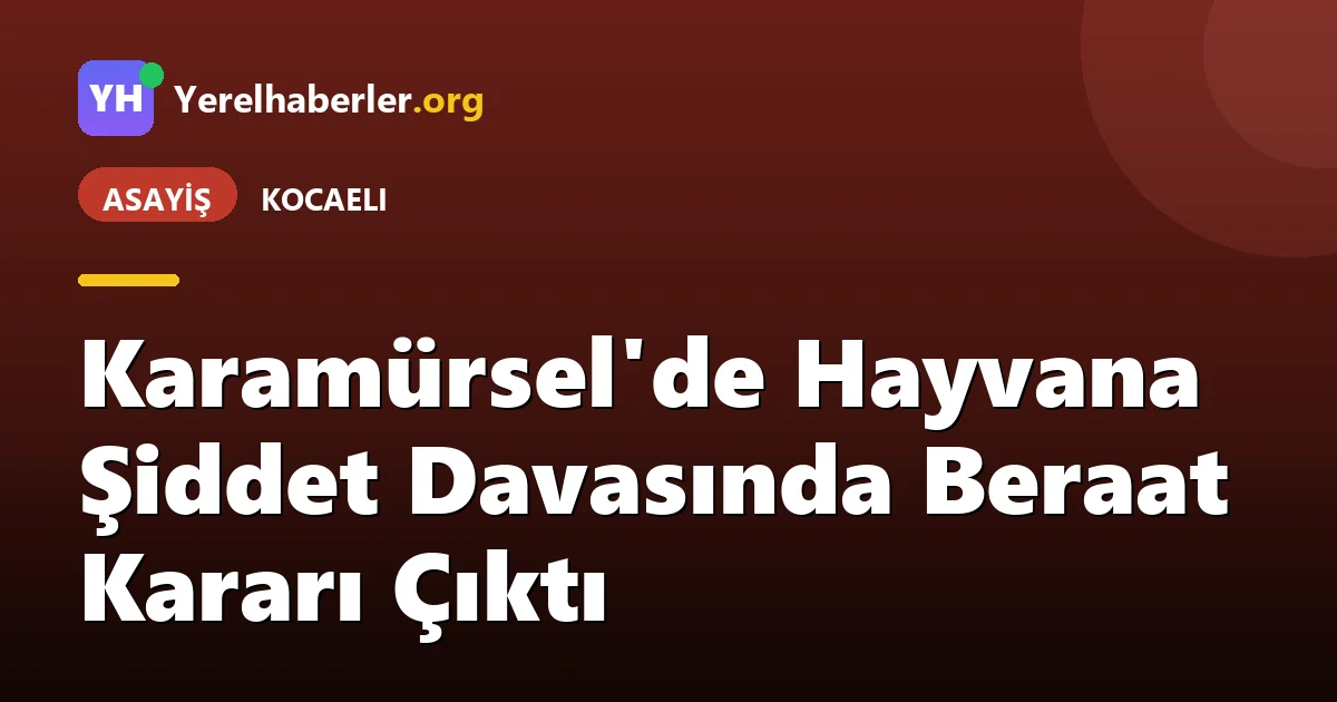 Karamürsel'de Hayvana Şiddet Davasında Beraat Kararı Çıktı