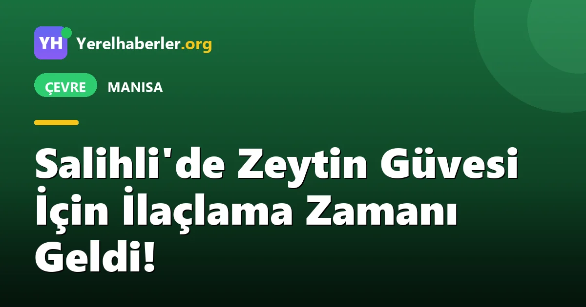 Salihli'de Zeytin Güvesi İçin İlaçlama Zamanı Geldi!