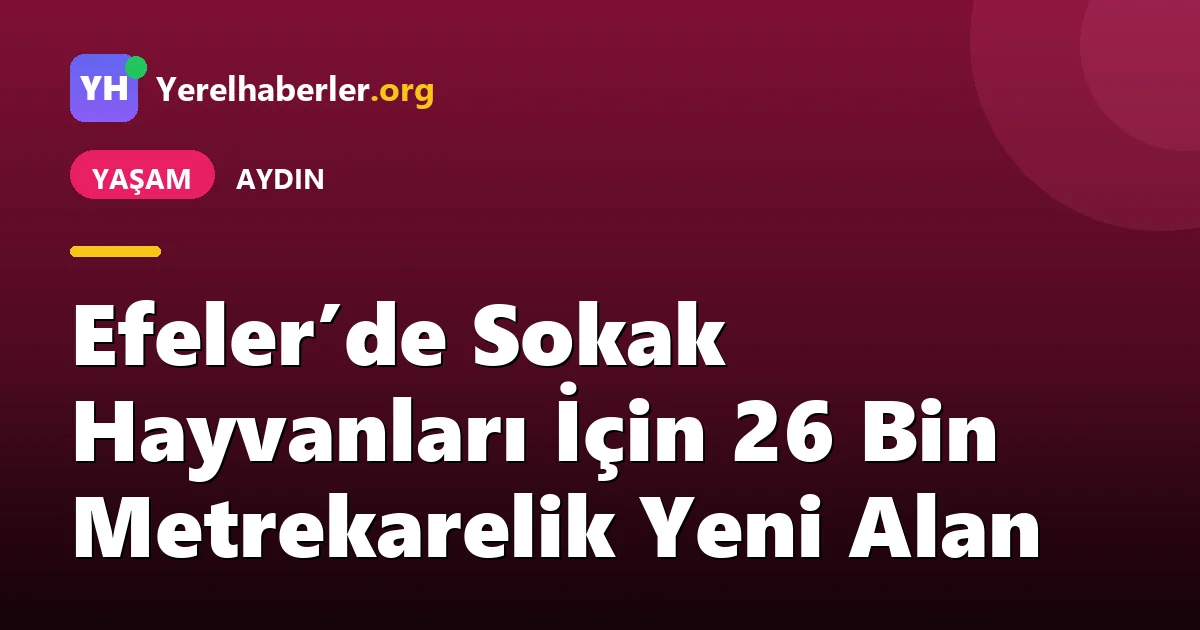 Efeler’de Sokak Hayvanları İçin 26 Bin Metrekarelik Yeni Alan