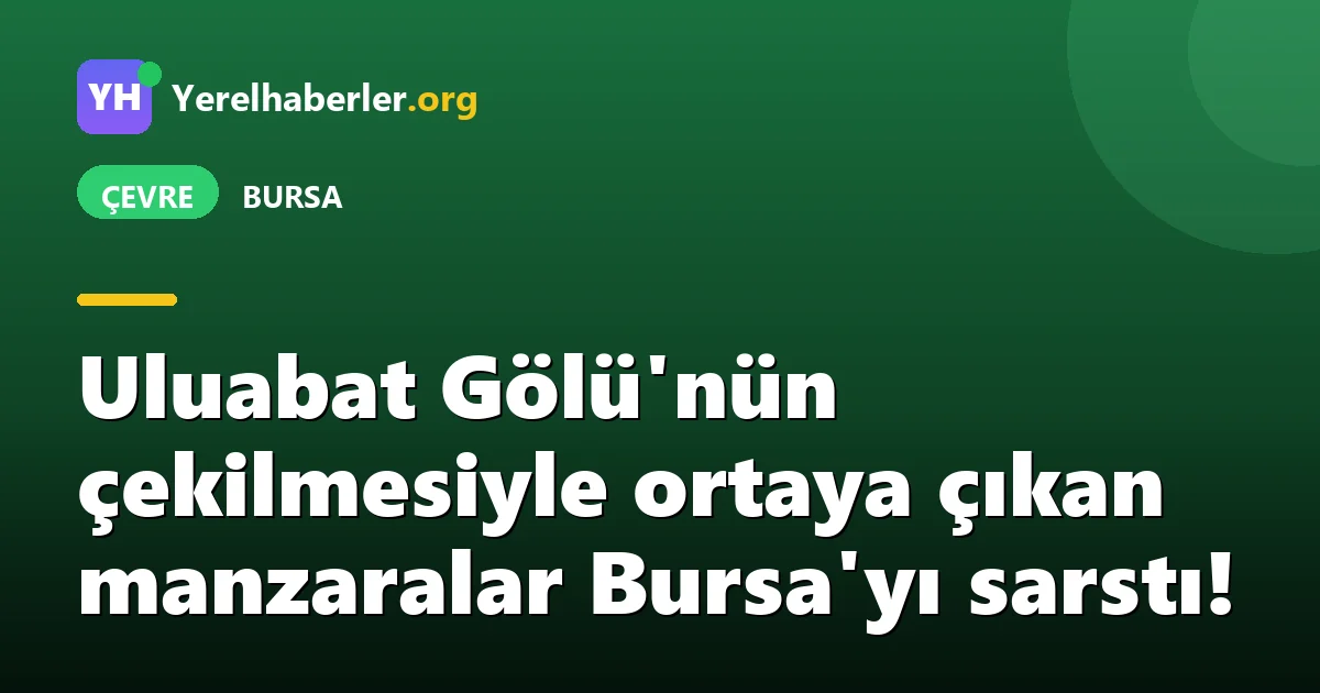 Uluabat Gölü'nün çekilmesiyle ortaya çıkan manzaralar Bursa'yı sarstı!
