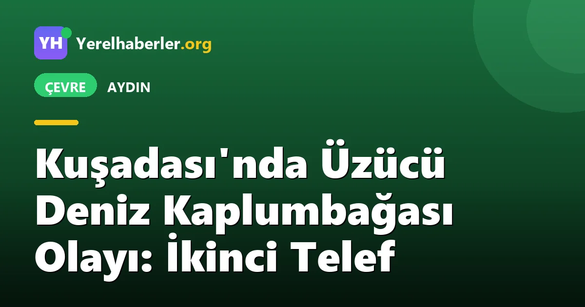 Kuşadası'nda Üzücü Deniz Kaplumbağası Olayı: İkinci Telef